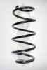 SPIDAN 56180 Coil Spring